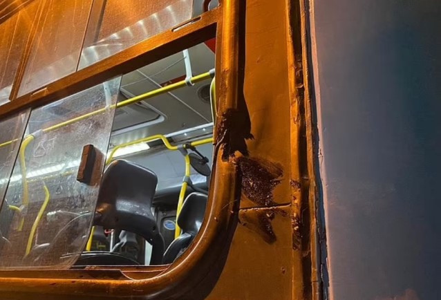 Brezilya'da otobüsün penceresinden arkadaşlarına el sallayan 13 yaşındaki çocuk, kafasını direğe çarparak hayatını kaybetti
