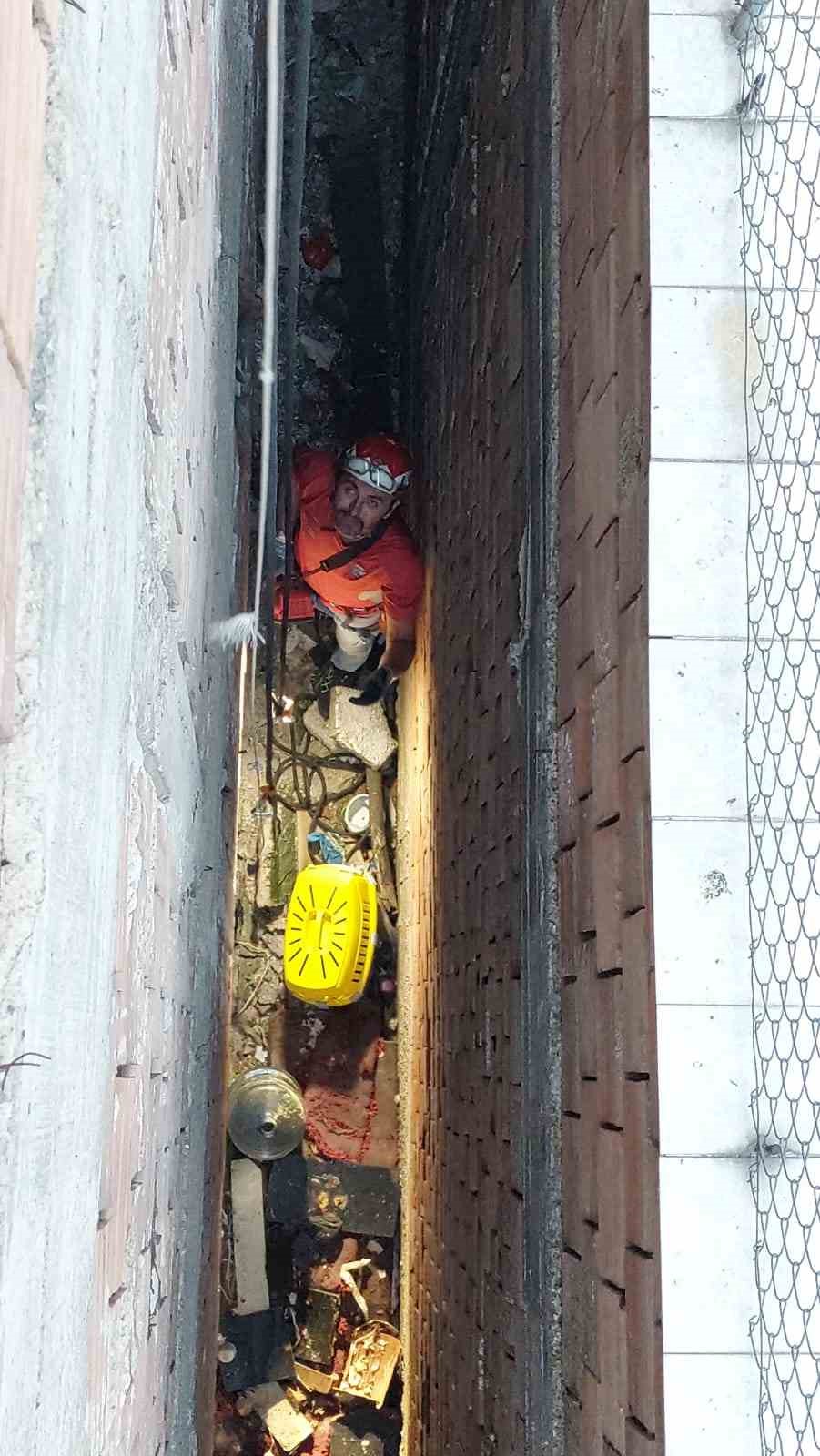 İki bina arasındaki 8 metre derinliğe düşen kedi ekiplerce kurtarıldı
