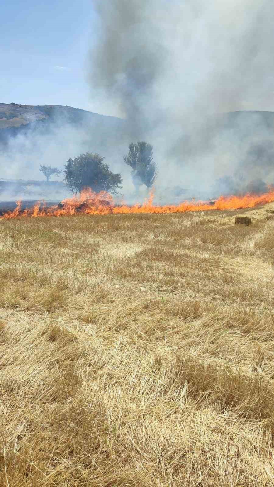 Gediz’de balya makinesinden çıkan kıvılcım 90 dönüm tarlayı yaktı