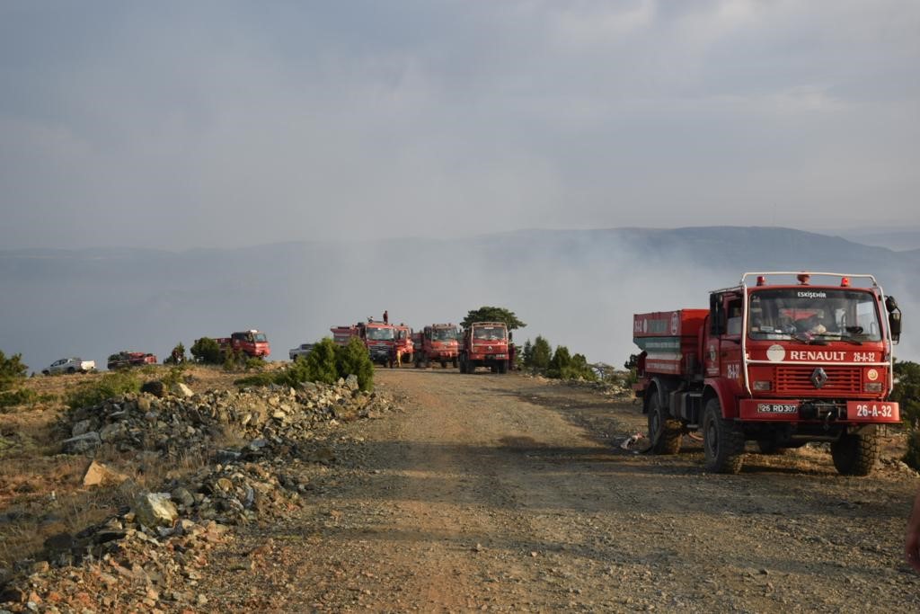 Eskişehir’de çıkan orman yangını kontrol altına alındı