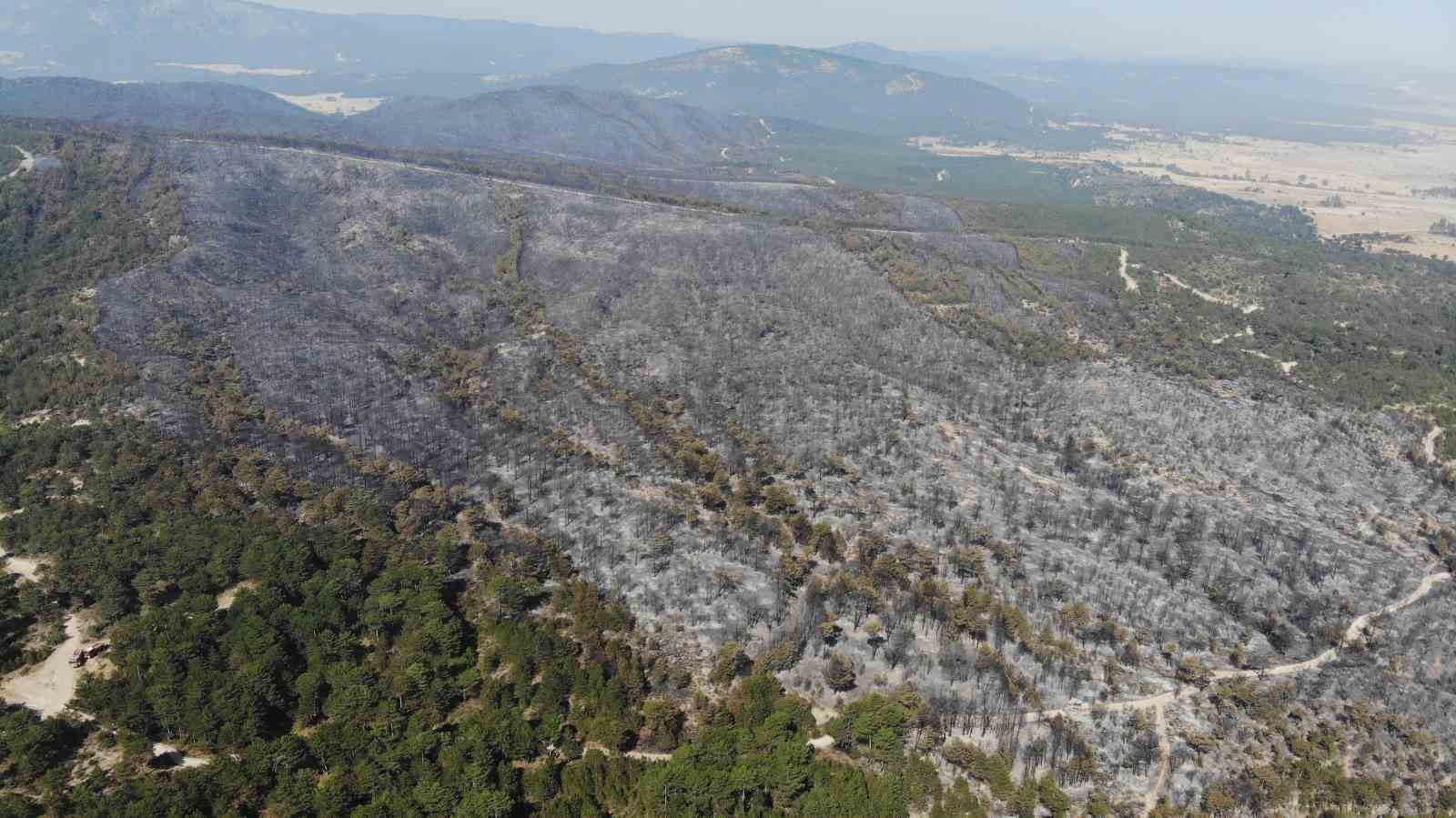Eskişehir’deki orman yangınına neden olan çiftçi adli kontrol şartıyla serbest bırakıldı