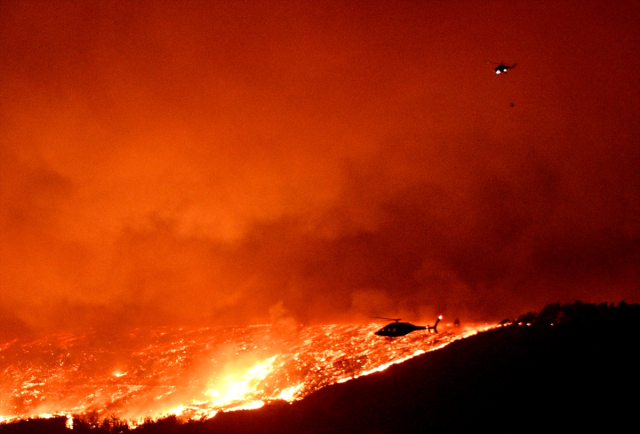 Sağlık Bakanı Koca duyurdu: Çanakkale'deki orman yangınında 4 kişinin tedavisi sürüyor