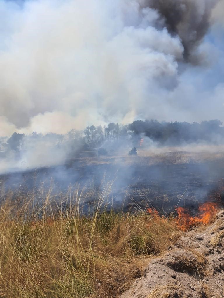 Ormana sıçrayan anız yangını yerleşim yerlerine doğru ilerliyor
