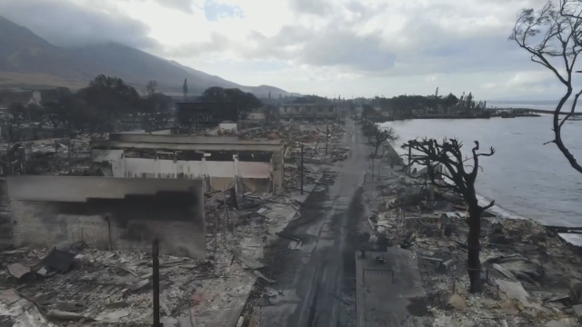 ABD'nin Havai eyaletindeki orman yangınlarında can kaybı 89'a ulaştı