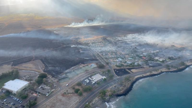 Maui Adası'ndaki orman yangınlarında can kaybı 55'e yükseldi, Hawaii afet bölgesi ilan edildi