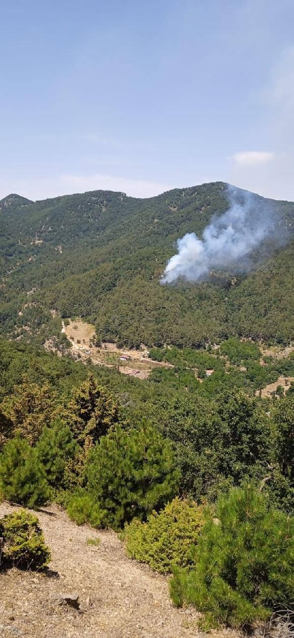 Hatay'da orman yangını