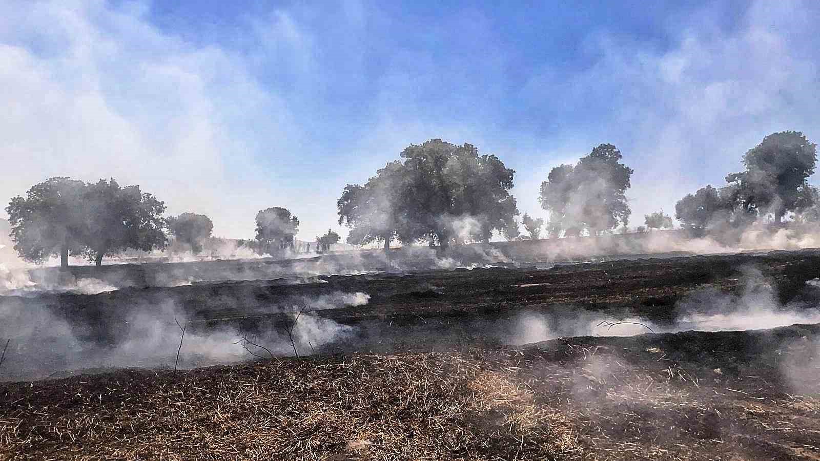 Gediz’de tarla yangını