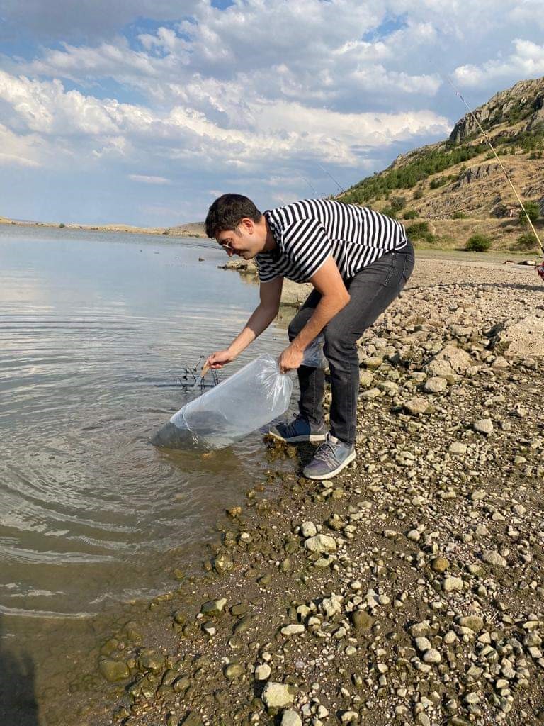 Şuhut’ta göletlere 115 bin yavru sazan balığı bırakıldı