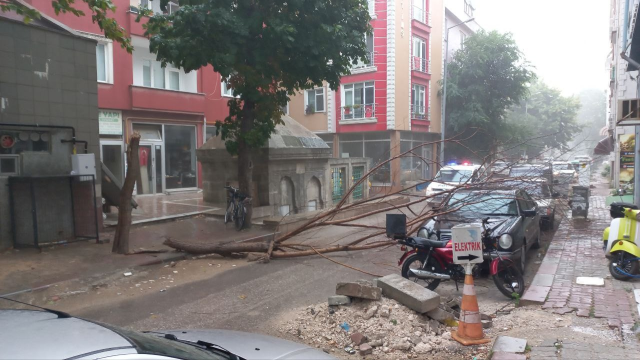 Edirne'de yarım saatlik sağanak yağış yolları göle çevirdi, ağaçları devirdi