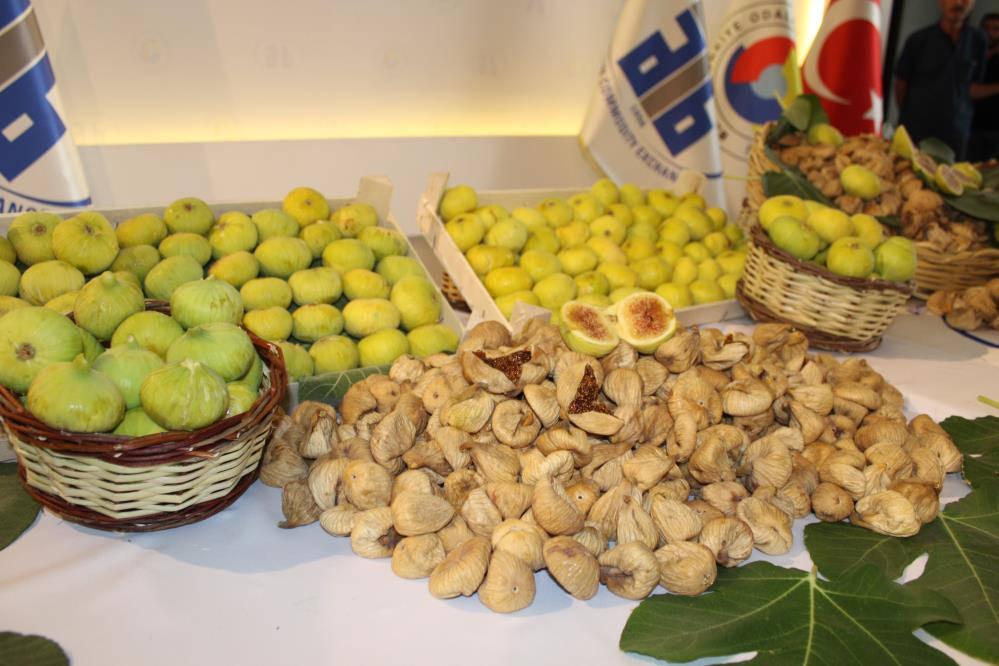 Aydın'da sezonun ilk kuru inciri 350 liradan satıldı