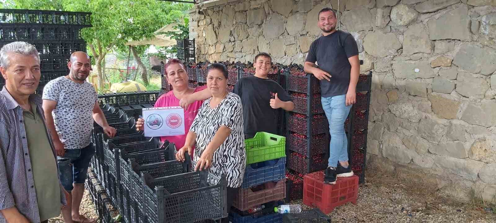 Coğrafi işaret alan Pazarlar kirazı denetlendi