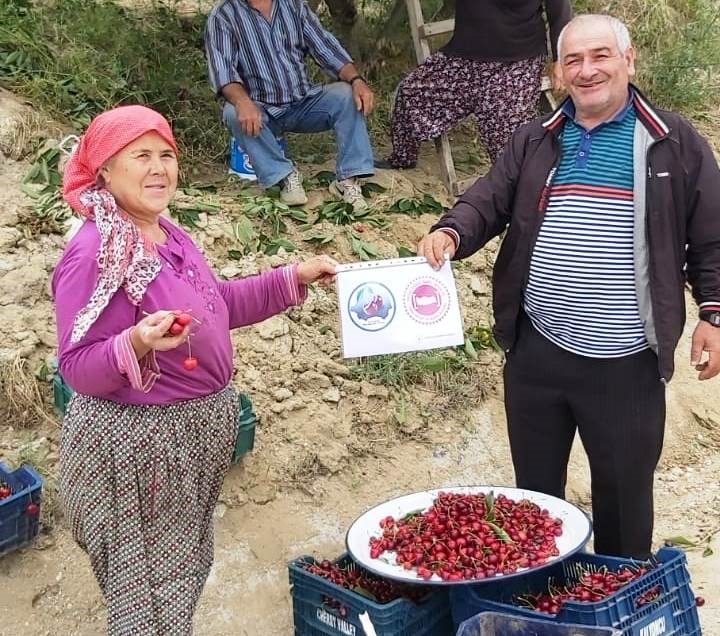 Coğrafi işaret alan Pazarlar kirazı denetlendi