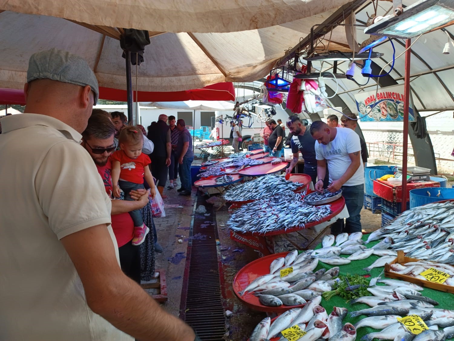 Kırmızı ve beyaz ete göre fiyatı makul olan balığa yoğun ilgi