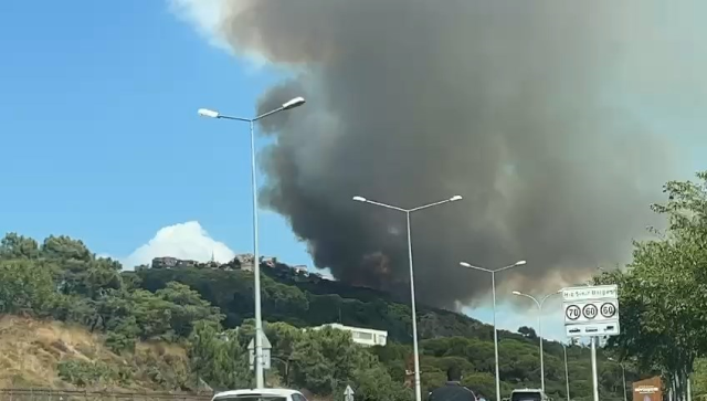İstanbul Maltepe'de orman yangını! Bölgeye çok sayıda ekip sevk edildi