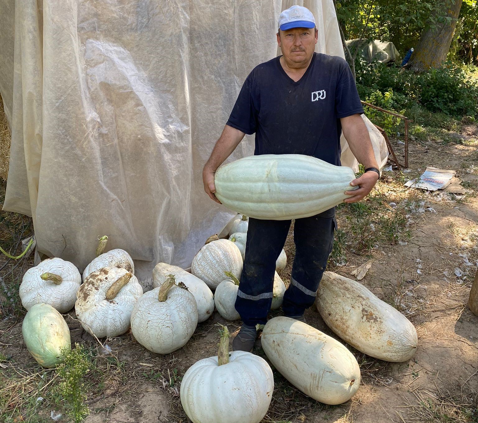 Hisarcıklı çiftçi ata tohumundan 30 kilo gelen bal kabağı yetiştirdi