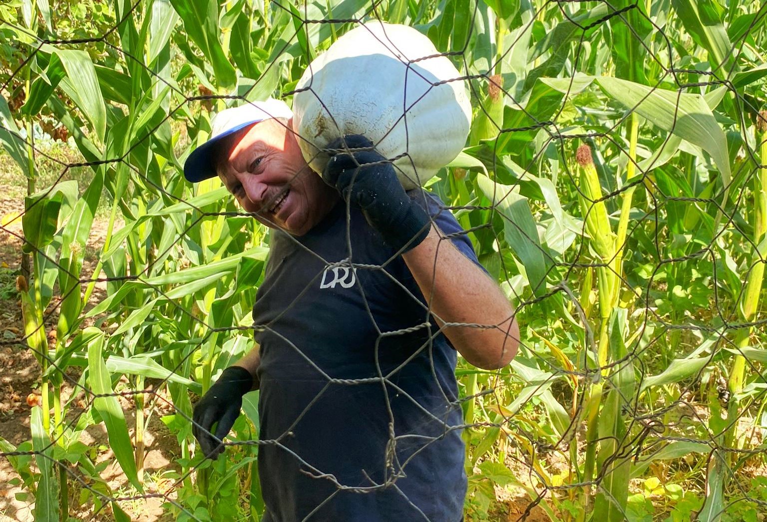 Hisarcıklı çiftçi ata tohumundan 30 kilo gelen bal kabağı yetiştirdi