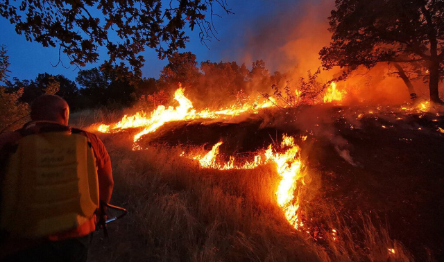 Bulgaristan-Türkiye sınırındaki yangın sebebiyle 2 köy tahliye edildi