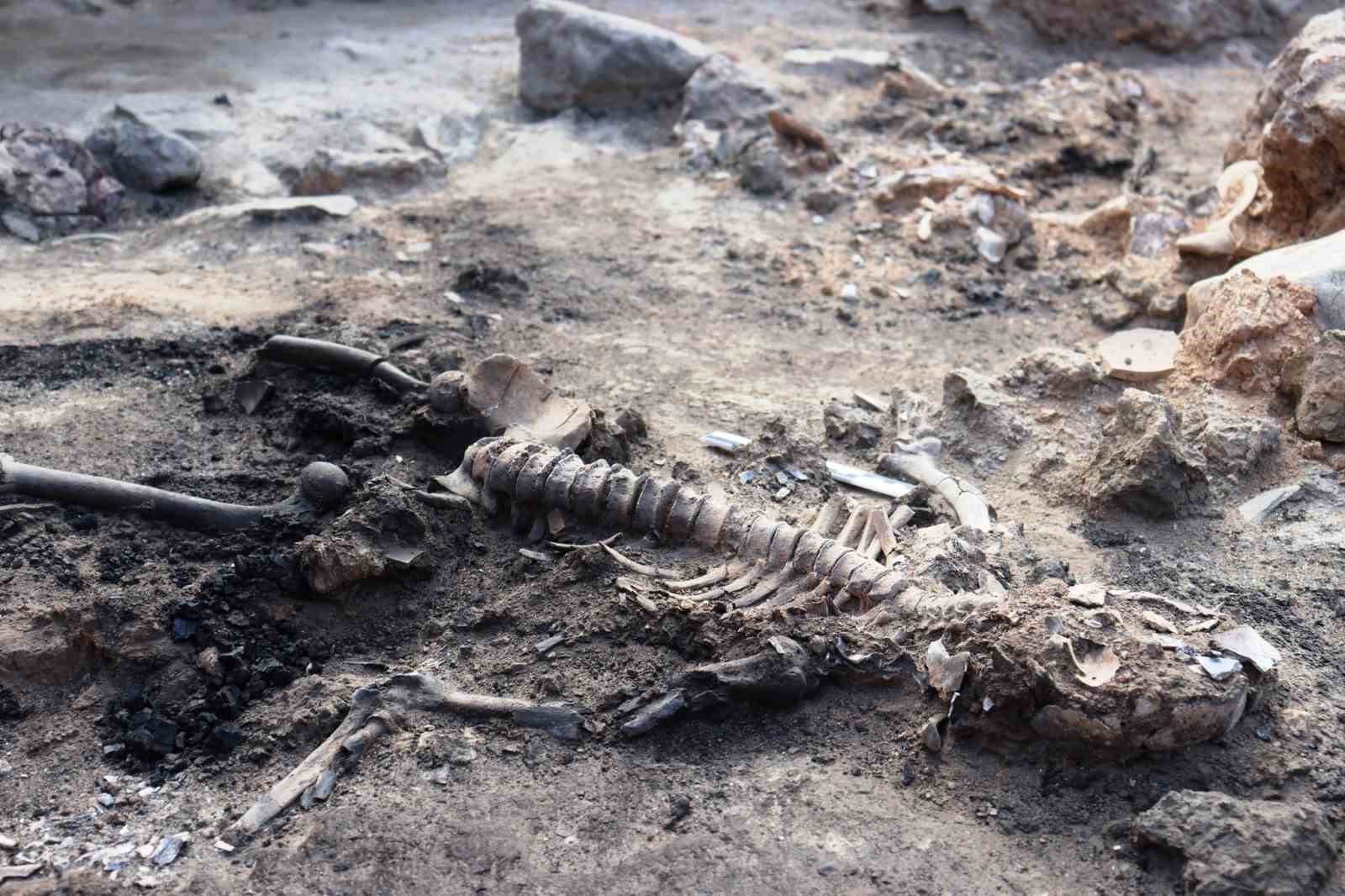 Tavşanlı Höyük kazılarında 3 bin 700 yıllık insan beyni ve deri kalıntıları çıktı
