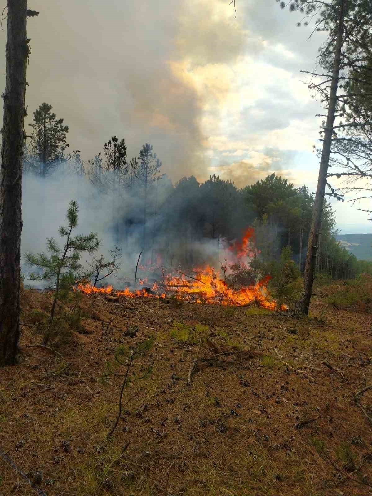 Kütahya’da orman yangını büyümeden kontrol altına alındı