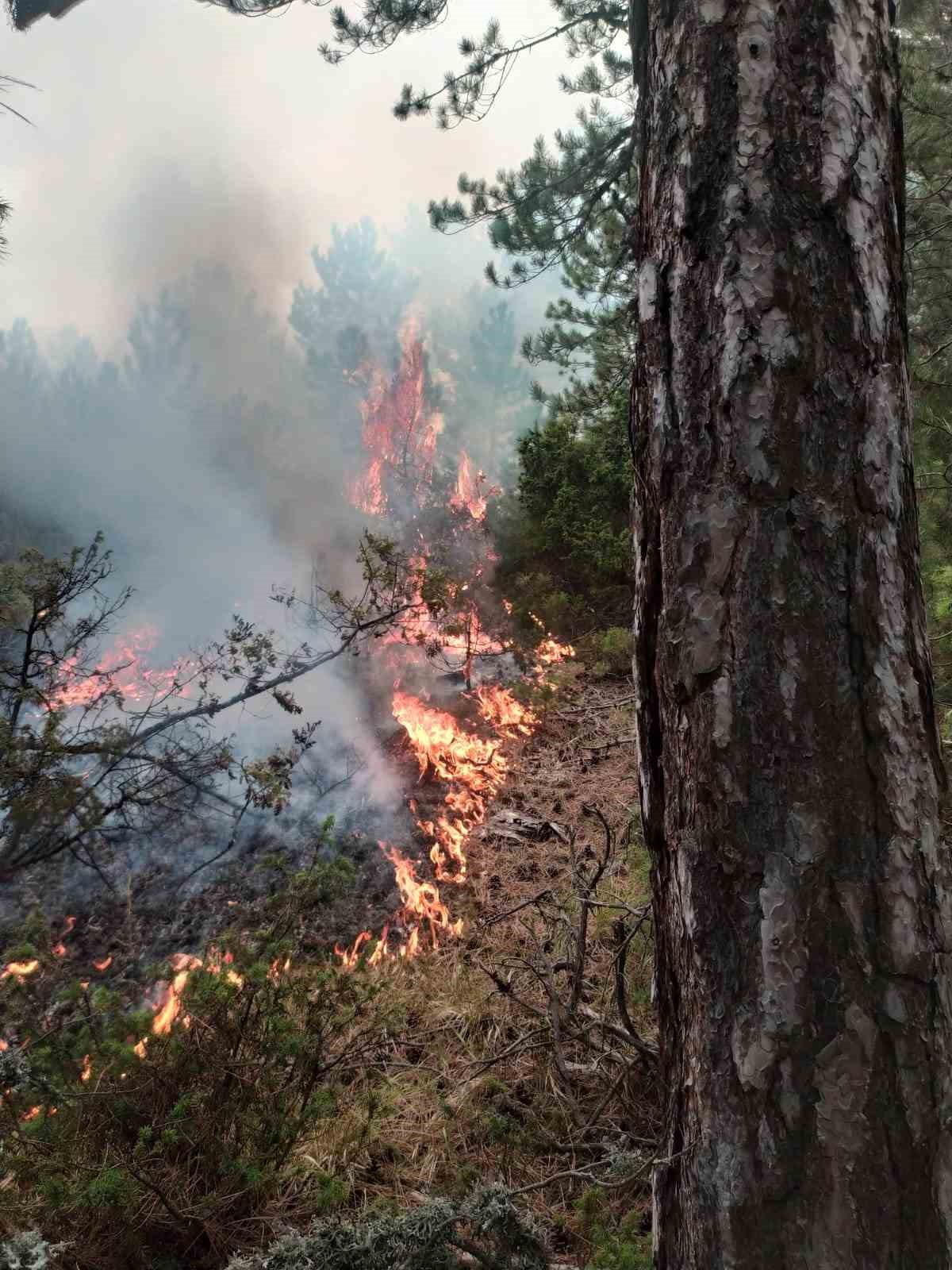 Kütahya’da orman yangını büyümeden kontrol altına alındı
