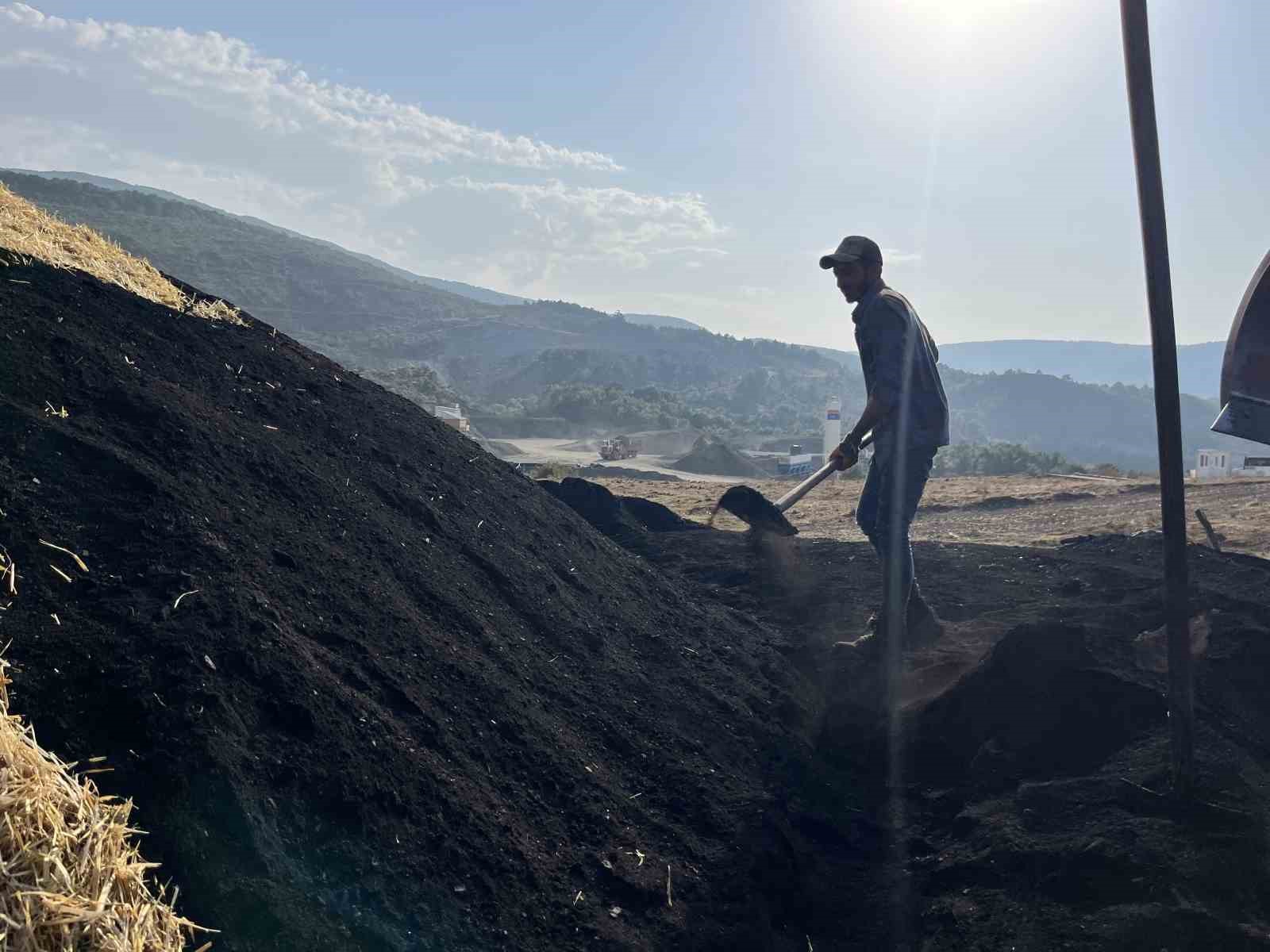 (ÖZEL) Odun öbeklerinin karşısından günlerce süren kömür nöbeti