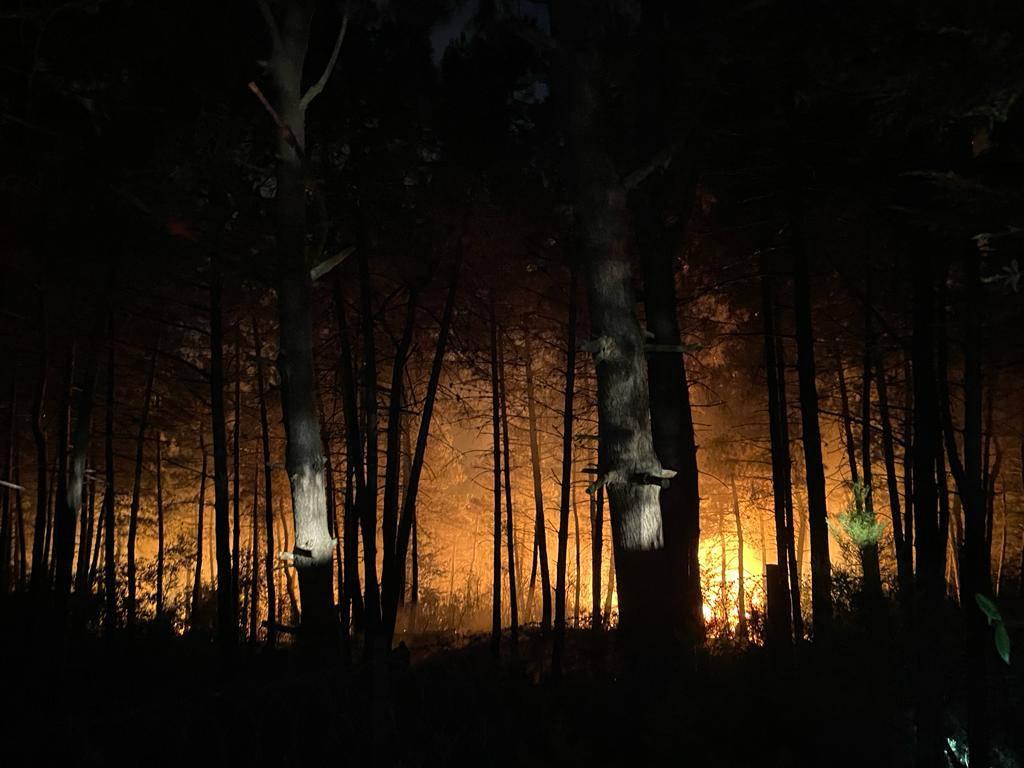 Çekmeköy’de korkutan orman yangını