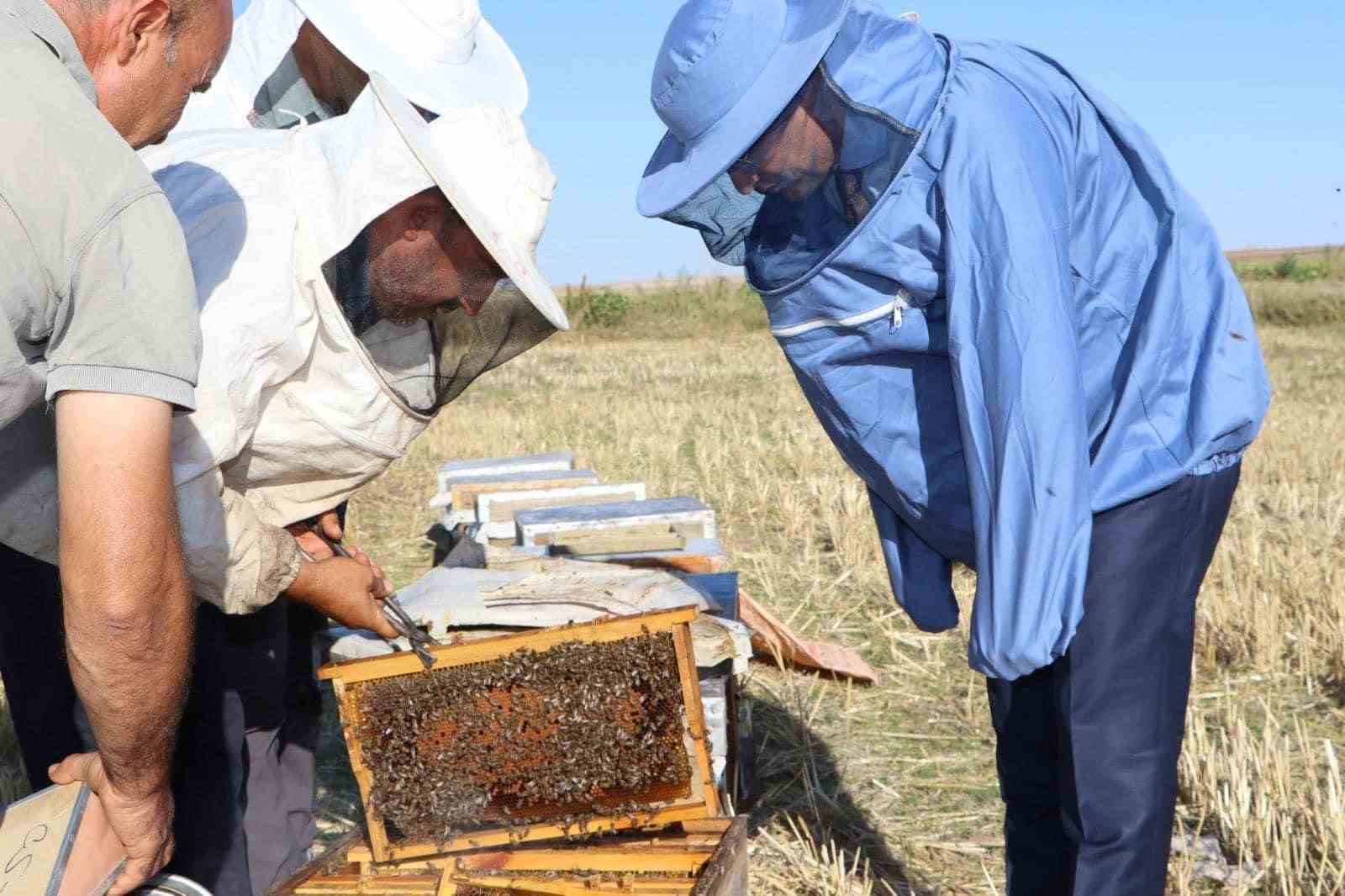 Arı ve bal üretimi noktasında Emirdağ merkez haline geldi