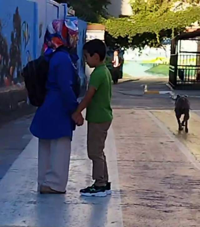 İstanbul'da okul bahçesine dalan başıboş pitbull, çocuklara korku dolu anlar yaşattı