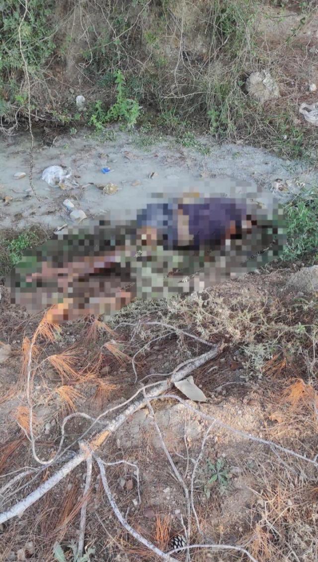 Adana'da dere kenarında kadın cesedi bulundu