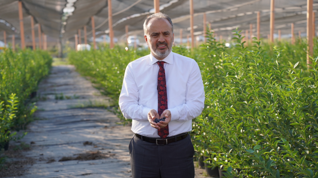 Alinur Aktaş'ın çabaları sonuç verdi! Tarım artık Bursa'nın yükselen değeri