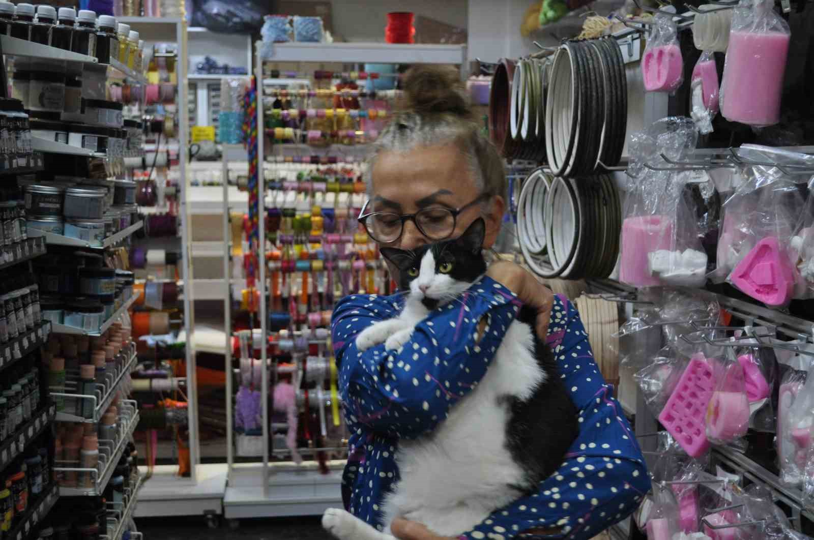 Eskişehir’de çarşı içindeki dükkanda beslenen kedilerin zehirlenerek öldürüldüğü iddia edildi