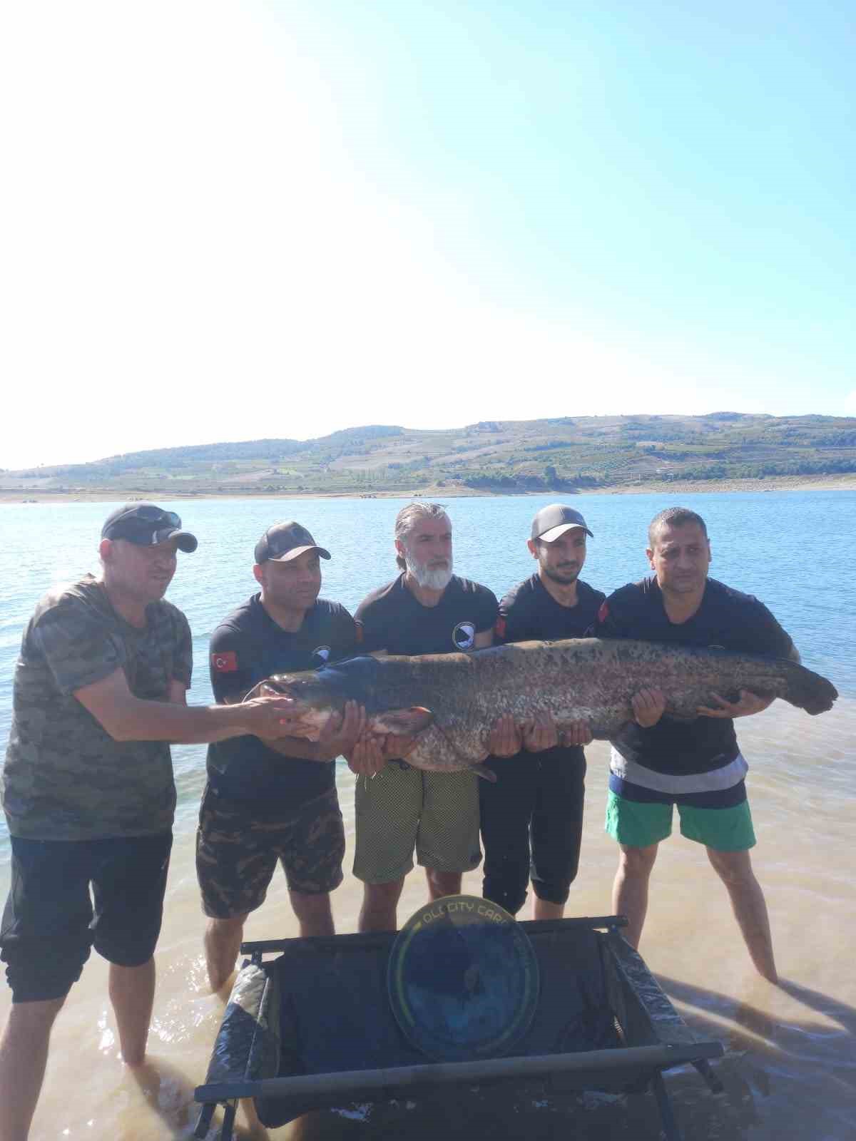Eskişehirde 1,68 metre boyunda 48 kilogram ağırlığında yayın balığı yakaladı
