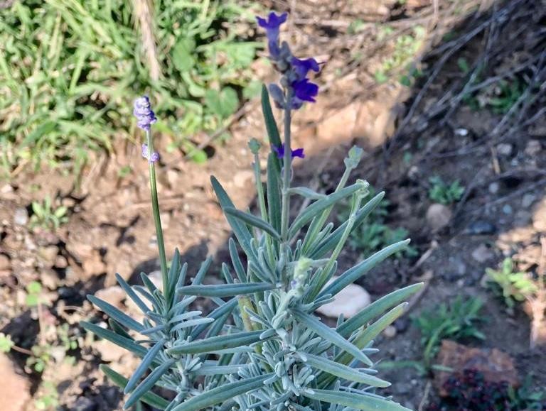 Emet’te çiftçi toplantısı