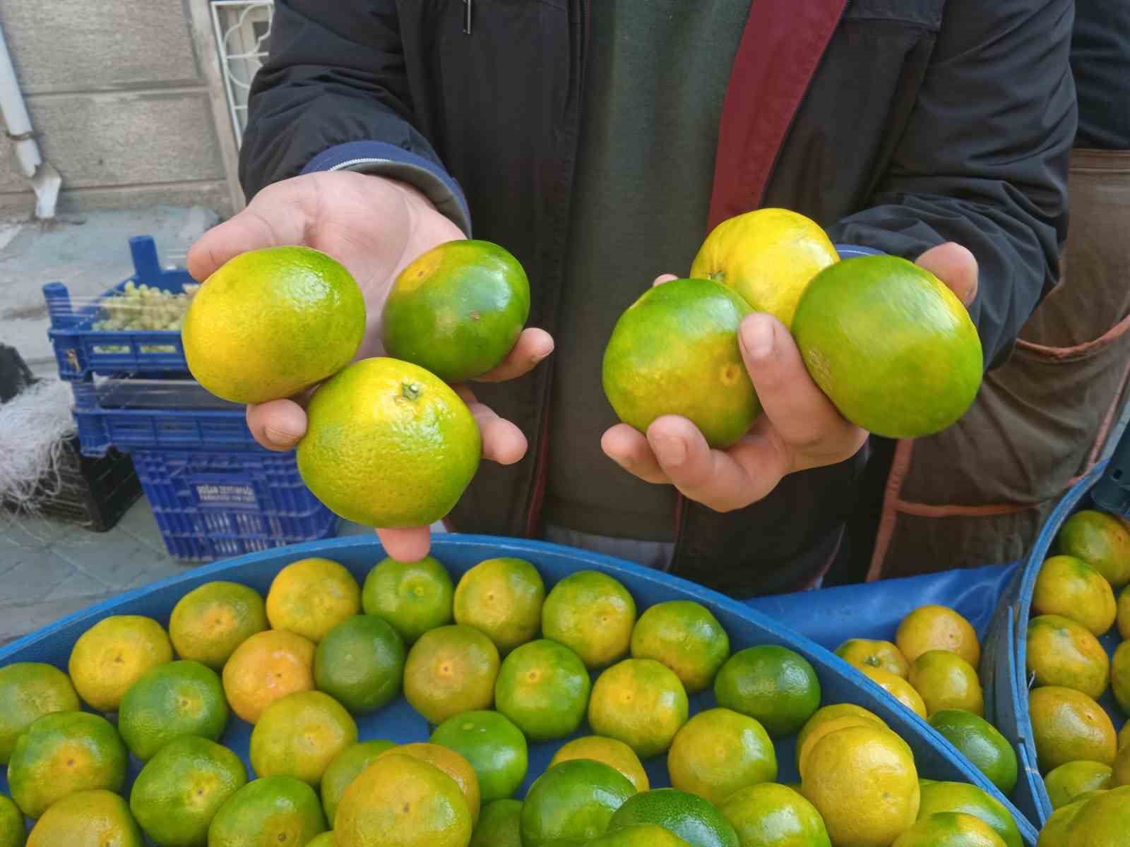 Pazarcının vitamin yönünden zengin mandalina satışından beklentisi yüksek