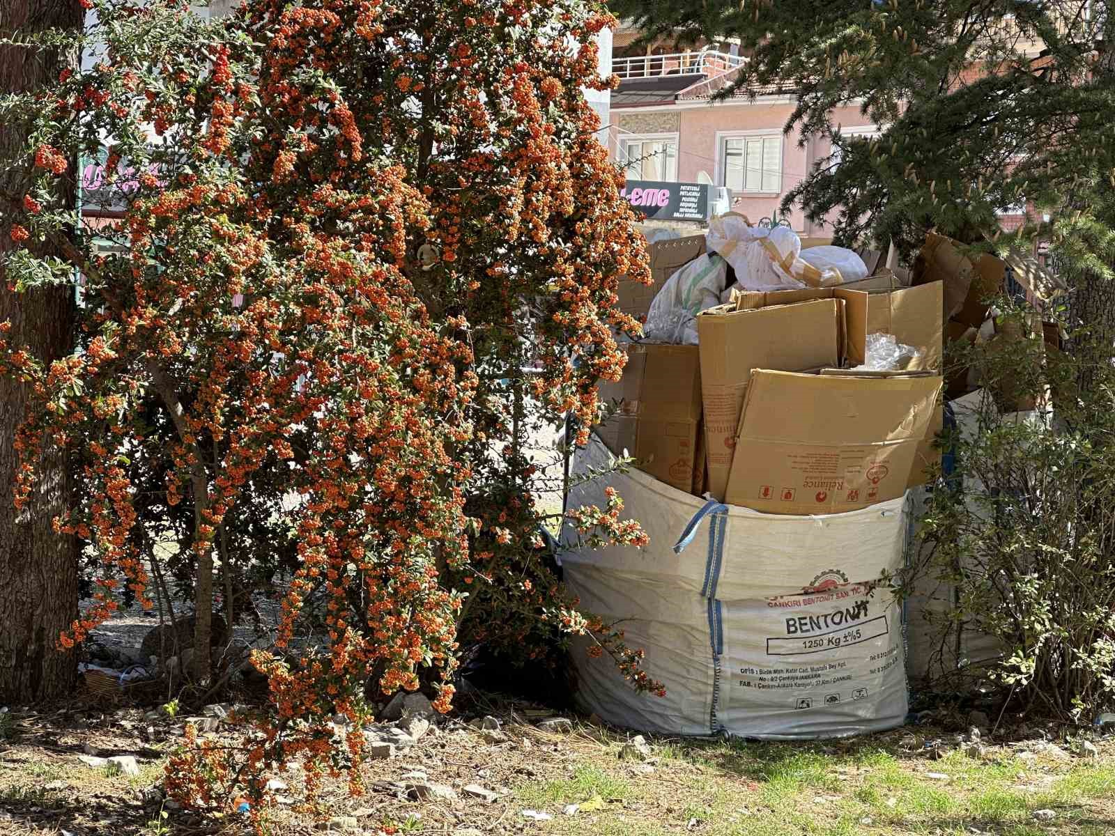 Boş arsa kağıt toplayıcılarının meskeni oldu