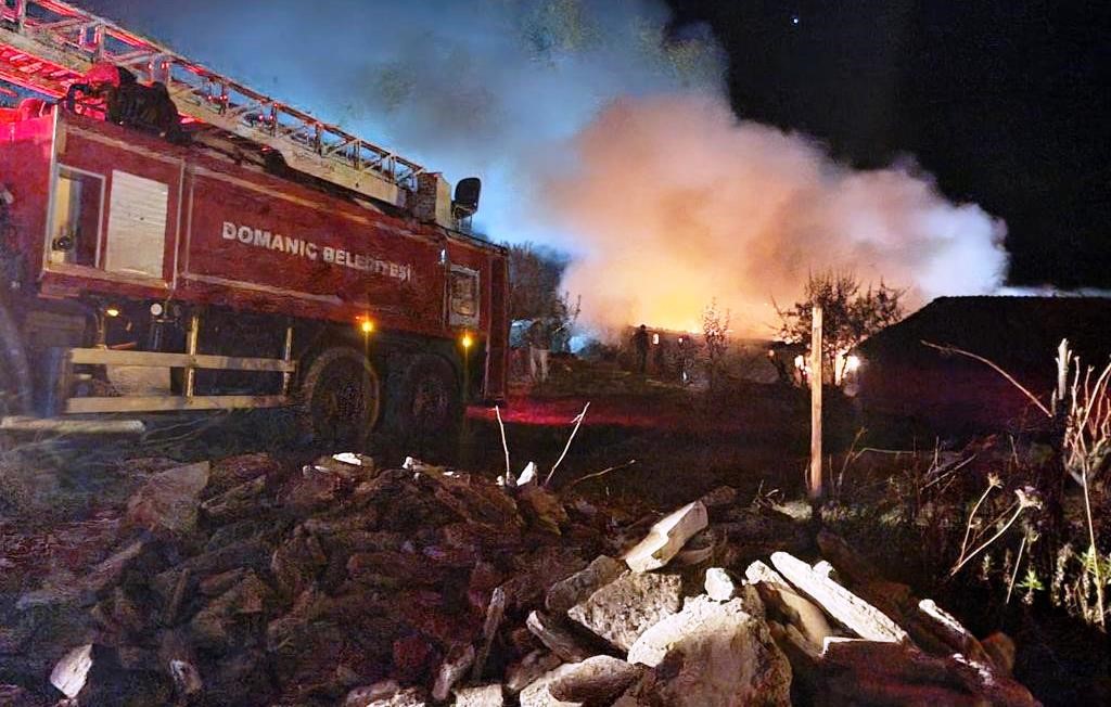 Domaniç’te çıkan yangında 20 büyükbaş hayvan yanmaktan son anda kurtarıldı
