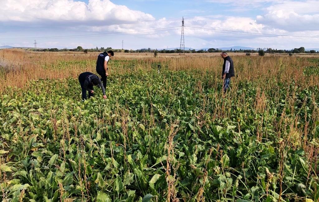 Emet’te şekerpancarı ekili alanlar kontrol edildi