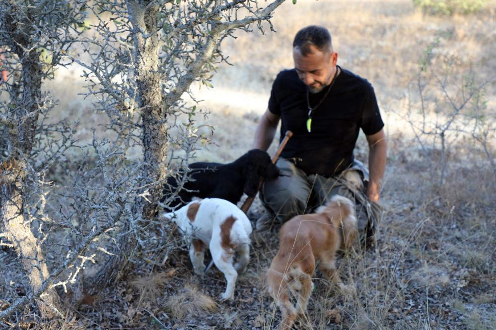 Sadece özel eğitimli köpekler bulabiliyor! Kilosu 3 bin Avro