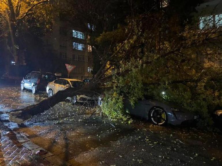 Ankara'da kuvvetli rüzgarda devrilen ağaç, otomobilin üzerine düştü