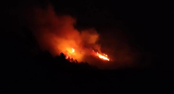 Trabzon'da orman yangını; 2 itfaiye eri dumandan etkilendi