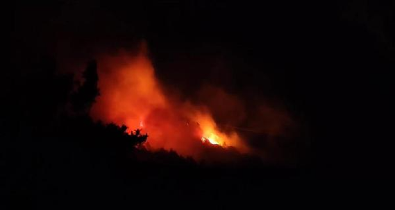Trabzon'da orman yangını; 2 itfaiye eri dumandan etkilendi