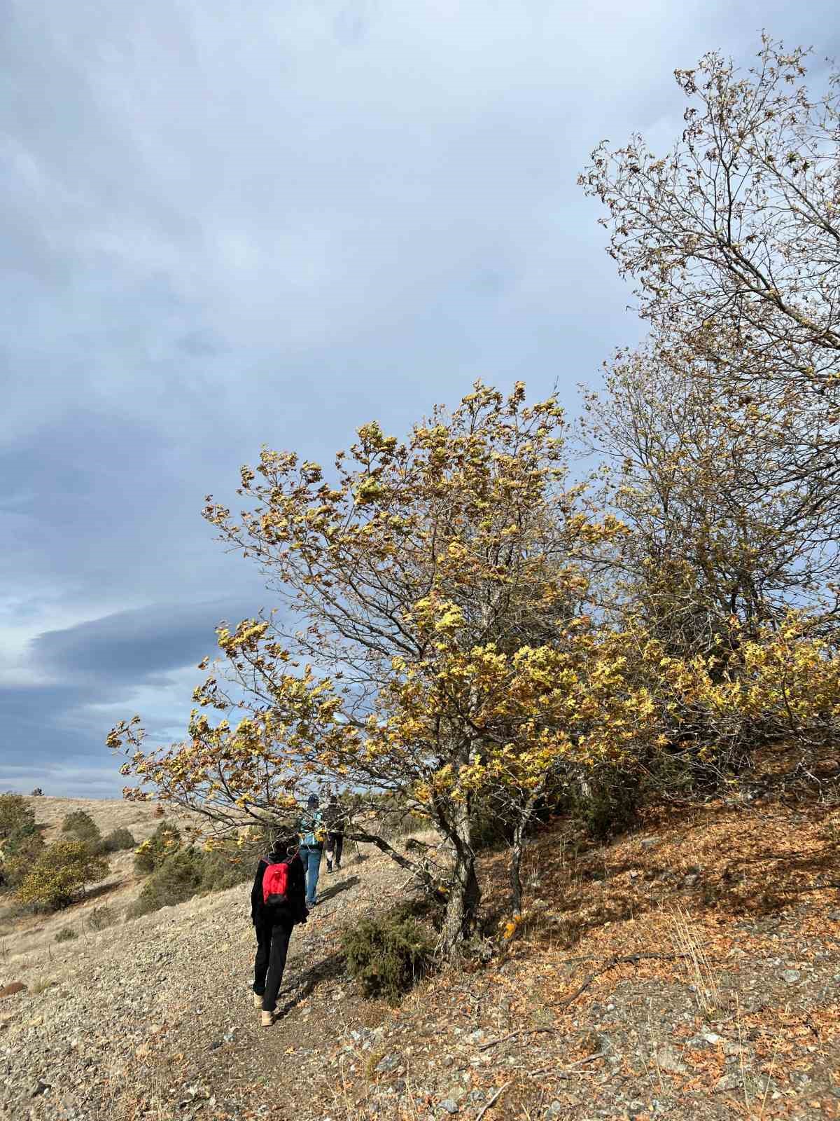 Eskişehirli ekip sonbahar manzarası eşliğinde 18 kilometre yürüdü