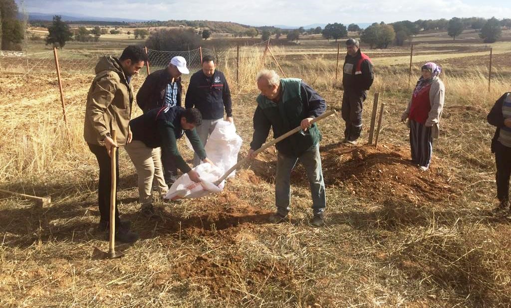 Emet’te toprak analizi numune alım çalışması