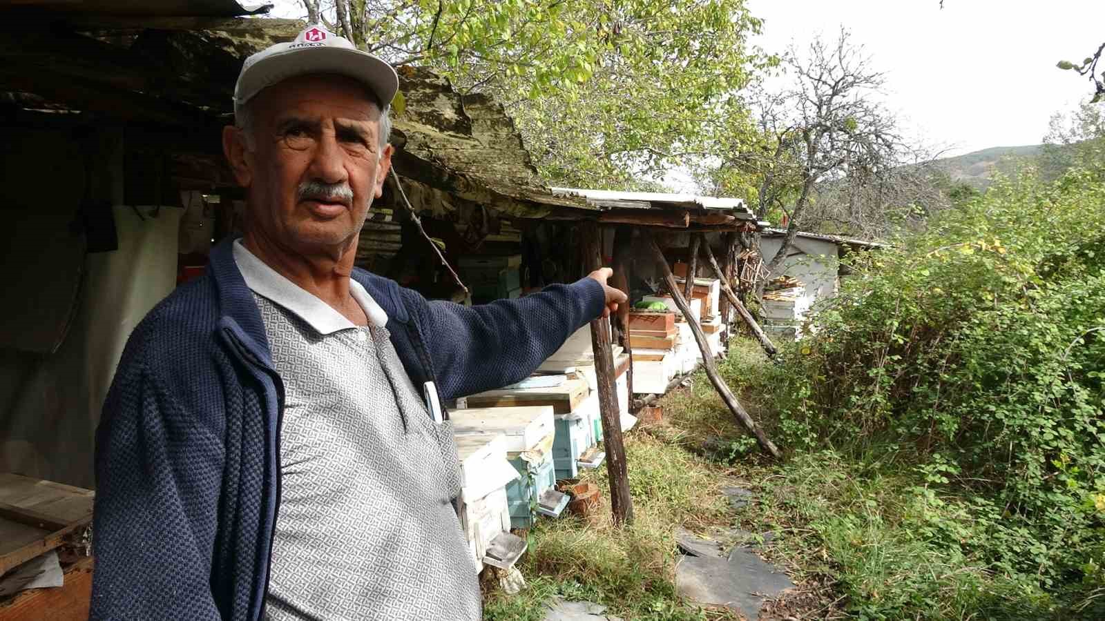 Güvenlik kamerasına zarar veren ayı görüntülere yansıdı