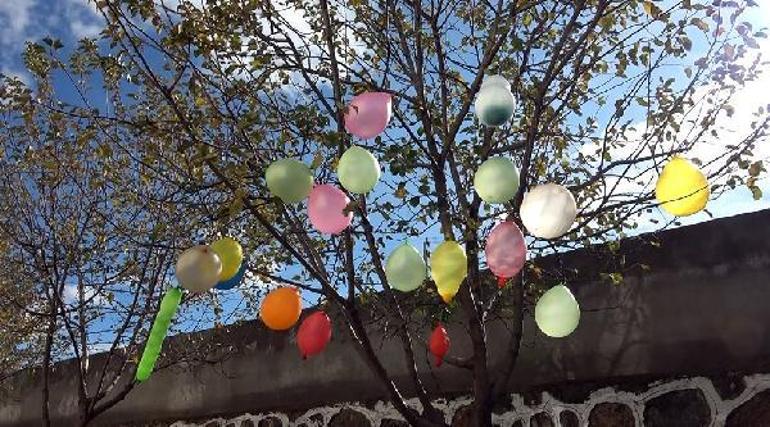 Vanlı çocuklar, ölen Filistinli akranları için ağaçlara balon astı