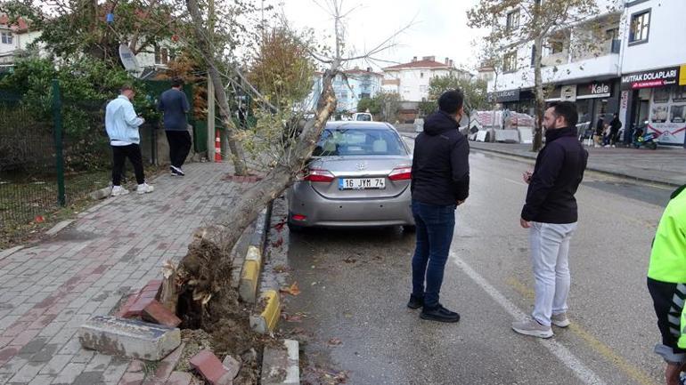 Edirne’de lodosun devirdiği ağaç otomobile hasar verdi