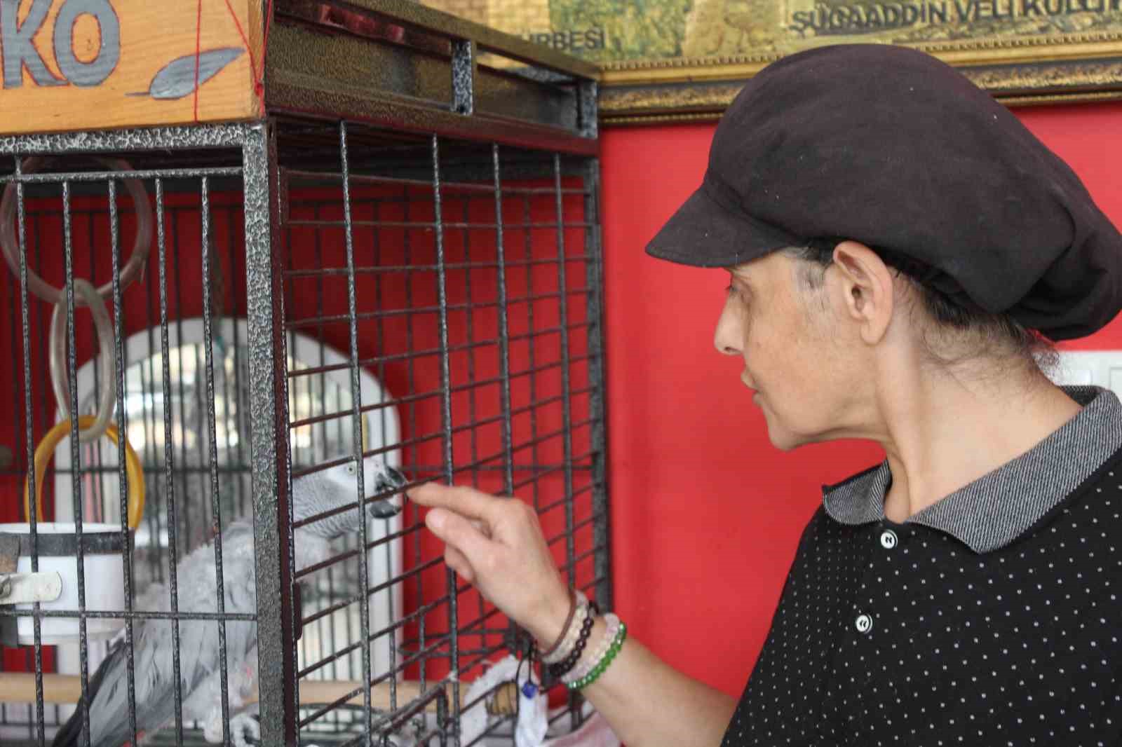 (ÖZEL) Eskişehirli esnaf beslediği bu papağan türü için gelen tüm teklifleri reddediyor