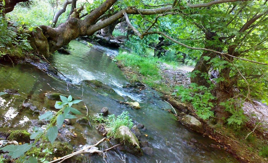 Emet Sülye sulama göletinden 176 hektar tarım arazisi sulanacak