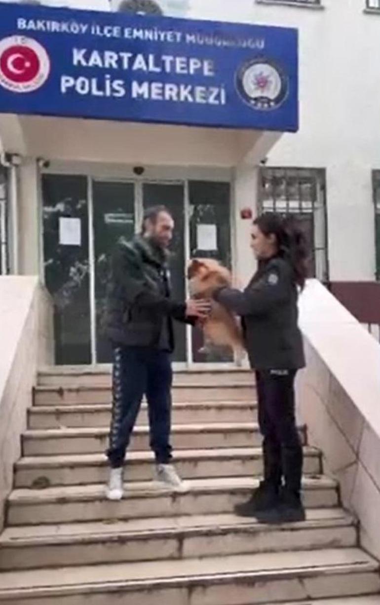 Bakırköy'de köpek çalan taksi şoförünün 8 yıl kesinleşmiş hapis cezası olduğu ortaya çıktı