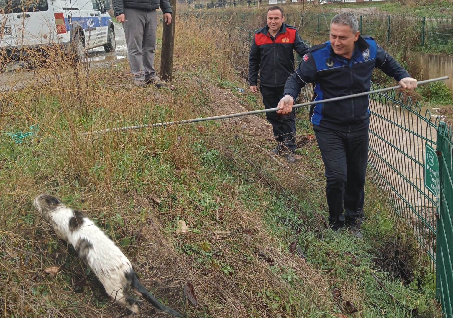 Hisarcık’ta sel sularına kapılan kediyi zabıta ve itfaiye ekipleri kurtardı